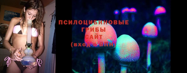 шишки Верхнеуральск