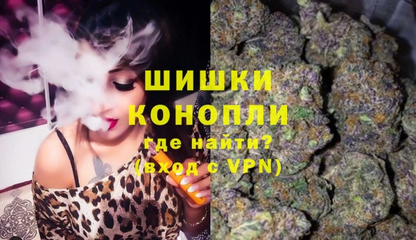трава Верея