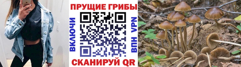 Галлюциногенные грибы мицелий  Химки 